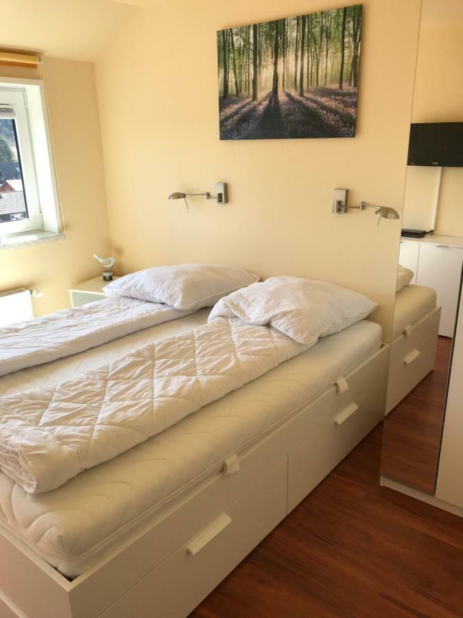 Ferienwohnung Jule Braunlage Eksteriør billede